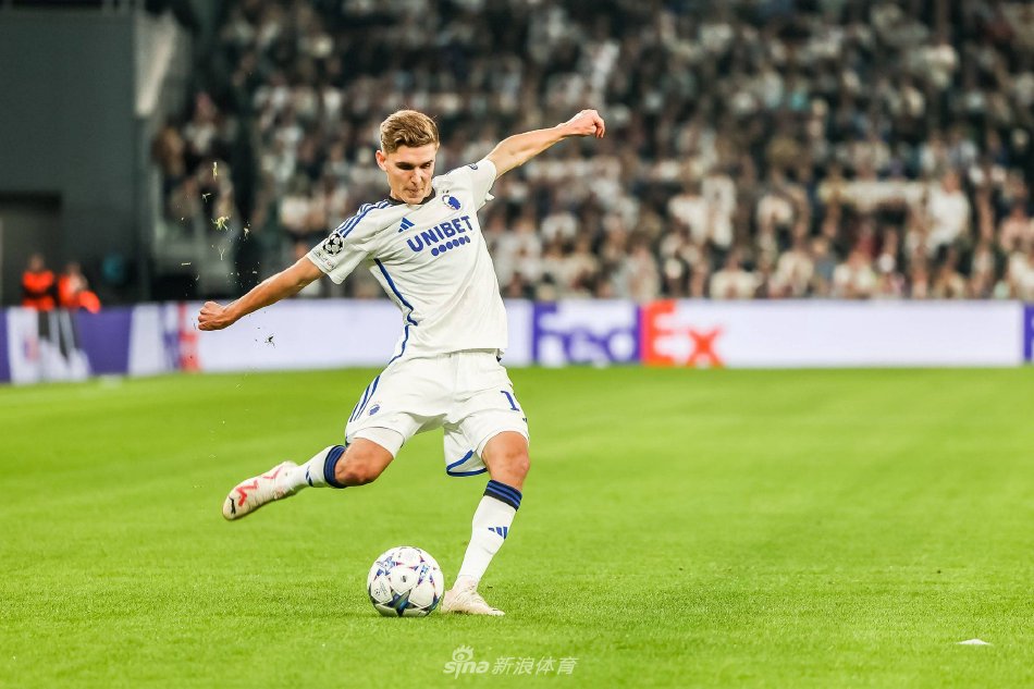 象而妄自菲 象而妄自菲