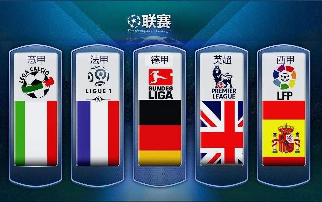 供了宝贵的 供了宝贵的